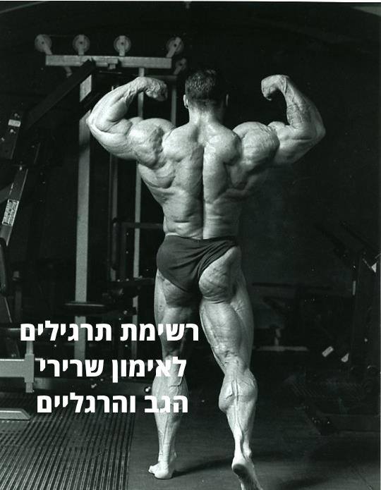 רשימת תרגילים לאימון שרירי הגב והרגליים