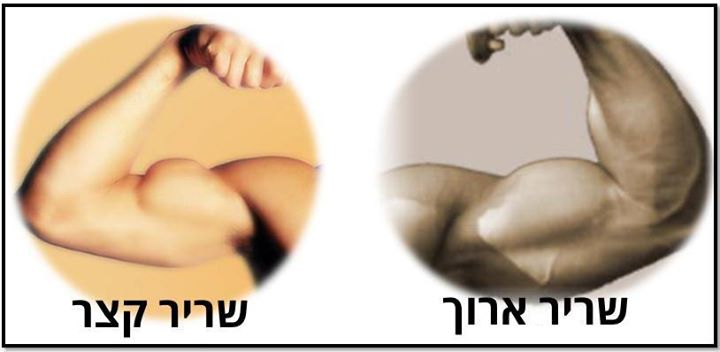 מה זה מתיחות ואיך מבצעים אותם?